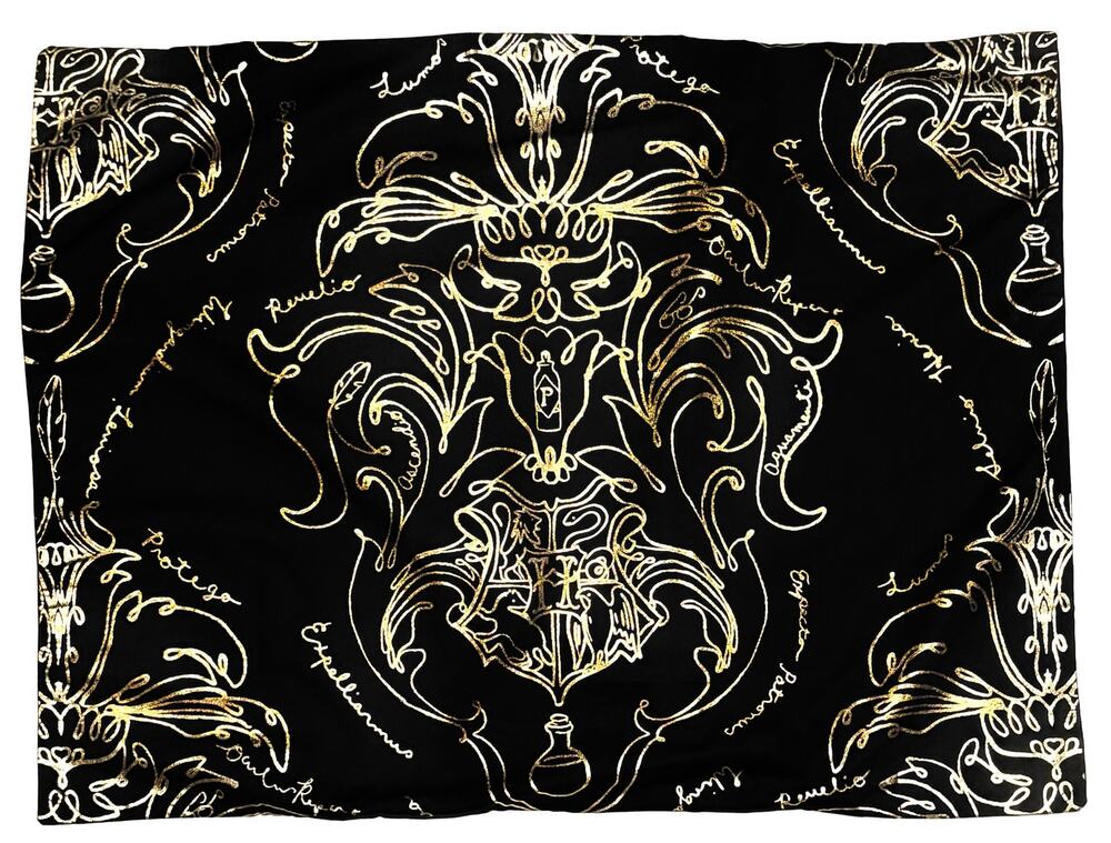 Pottery Barn Teen Harry Potter Spells And Charms Standard Sham Black NWT (1)